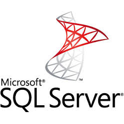 Washington DC Microsoft SQL Server Database Developer